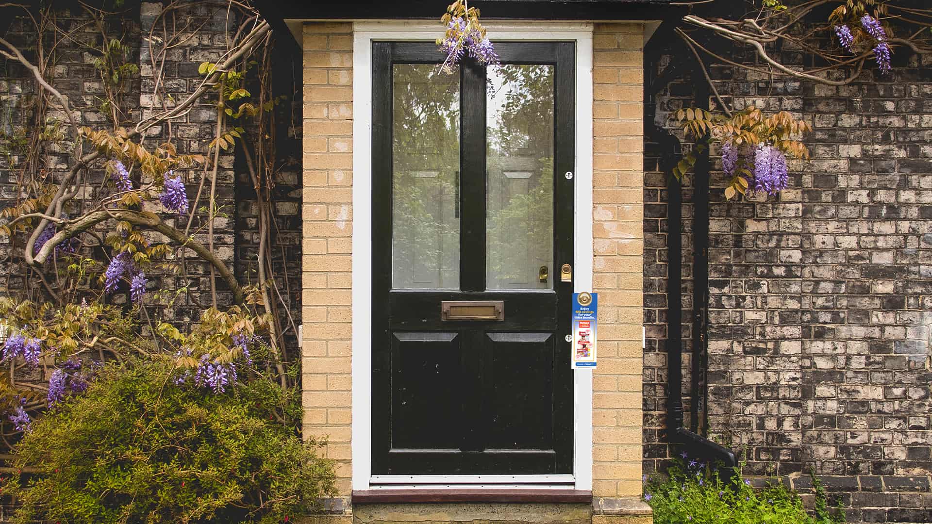 Stateside Marketing direct to door marketing